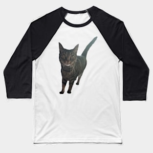 Alert Tabby Baseball T-Shirt